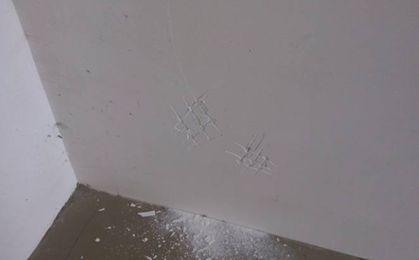 外墻膩子能用在內(nèi)墻嗎?